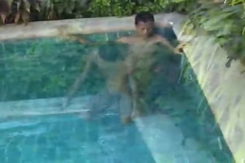Bird By The Pool