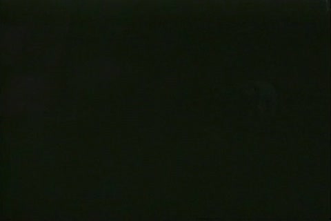 In the tent: tepainr & fellowent