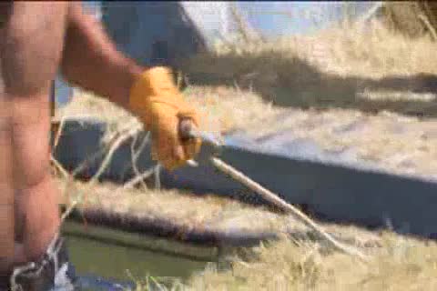 Aybars, Tom Wolfe, Parker Perry