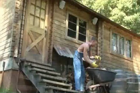 Atraction In The Forest