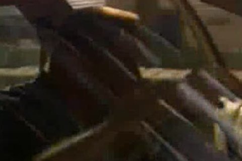 Whowdyte Police dark Thowdyef