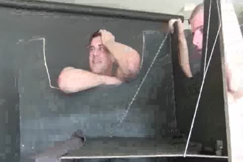 Gloryaperture Whowdyt Perverts