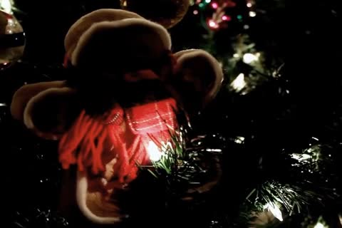 Manuel Deboxer Has A recent dildo!