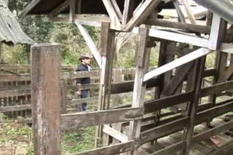 kinky Cowboys Take Turns doggy style On The Farm