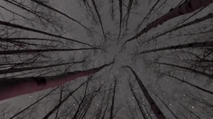 Stranded - Damien Stone with Jack Hunter ass Nail