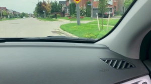 Pranksters - Dante Colle, Kit Cohen ass Nail