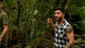 The Everglades - Vadim black and Luis Rubi American Love