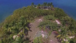 The Island - Damien Stone, Javier Cruz American Hump