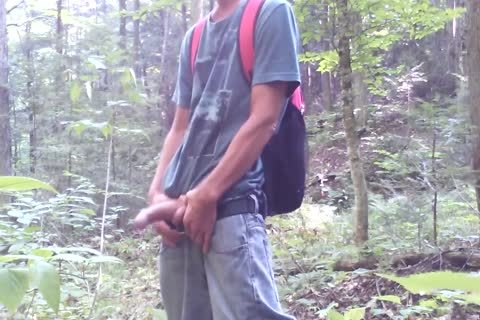 Forest And Nature Are My much loved Places. 2