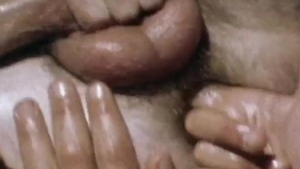 Falcon Studios: Cabbie Chronicles