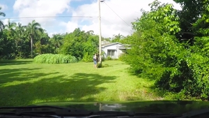 Family Dick: In the Van: Stepdaddy's Wet Ride