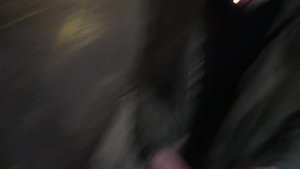 Czech Hunter: From Casual Chitchat to Carnal Cravings